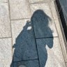 นี่นะคะ's profile picture