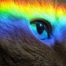 玉米地文猫(盘古农场)🔥🔥🔥's profile picture
