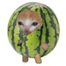 セス's profile picture