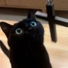 Фото профиля 𝑃𝑙𝑢𝑠𝐾𝑘_𝑡𝑡𝑒𝑜𝑘𝑘 seeing DPR♪(´ε｀ )