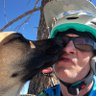 David Holler's profile picture