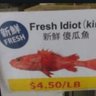 Profilbild von fish