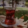 أبــو ســعــد الوايلي 的头像