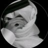 أبو قحط's profile picture