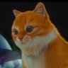 answer's profile picture