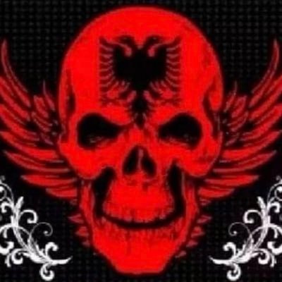 Albanian Moments's profile picture