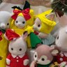 いわわ profil fotoğrafı