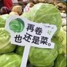 飞行员腿腿's profile picture