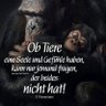 Ralle's profile picture