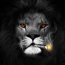 Rami Taha's profile picture