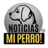 Profilbild von NoticiasMiPerro