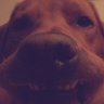 Devron's profile picture