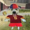 Profilbild von Franklin