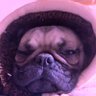 Profilbild von JOSE ANTONIO