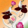 صقر اليمن's profile picture