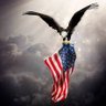 America First 的头像