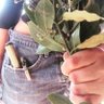 Фото профиля Chúcara