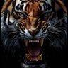 Adel Mylife's profile picture