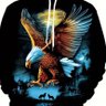 arshedat's profile picture