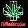 DrReefer 的头像