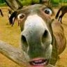 Profilbild von Jack Wagon