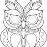 Owl 的头像