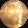 TheHeroicDog's profile picture