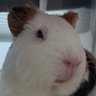 Jckfrost's profile picture