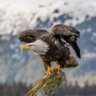 khorzay profil fotoğrafı