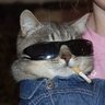 Profilbild von nat4n
