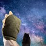 みどりのき's profile picture