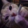 pookie :3 profil fotoğrafı