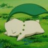 Profilbild von chiki