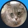 Profilbild von まぼねこ