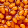 Beanz's profile picture