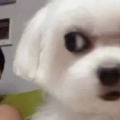 삠삐's profile picture