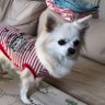 Lacia's profile picture