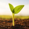 Фото профиля Equity Sprout