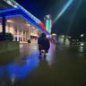 late profil fotoğrafı