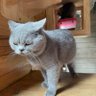 fahmi yusry profil fotoğrafı