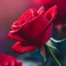 Фото профиля Ishtiaq