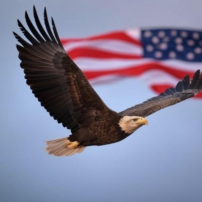Guardian Eagle's profile picture