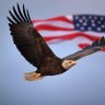 Guardian Eagle 的头像
