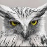 Profilbild von linate