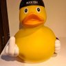duck_you's profile picture