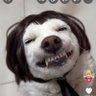 shinobu profil fotoğrafı