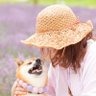かな profil fotoğrafı