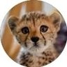 janan's profile picture