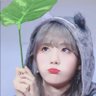Joy ChuWuuuu's profile picture