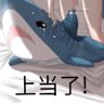 鱼鱼Fish's profile picture